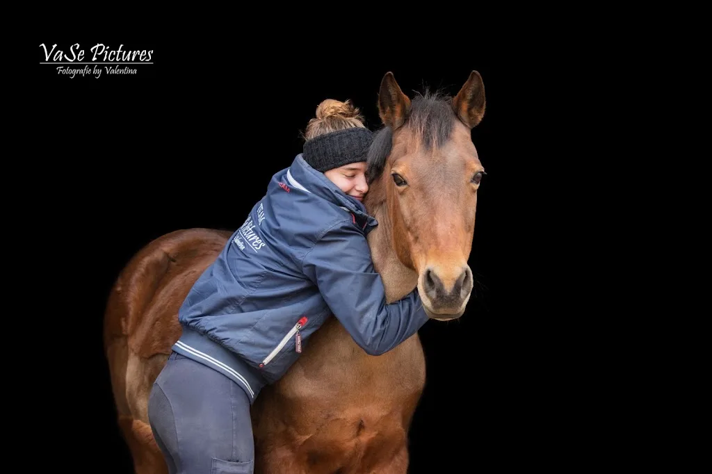 Reitstall Honings, Andreas Zöllner - Foto 3