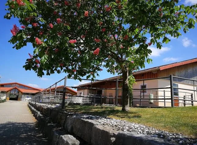 Freizeitreiter-Allgäu-Ranch - Foto 1