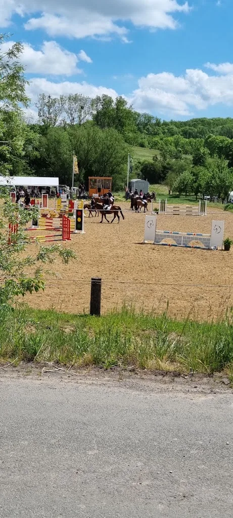 Reitschule Kassner - photo 3