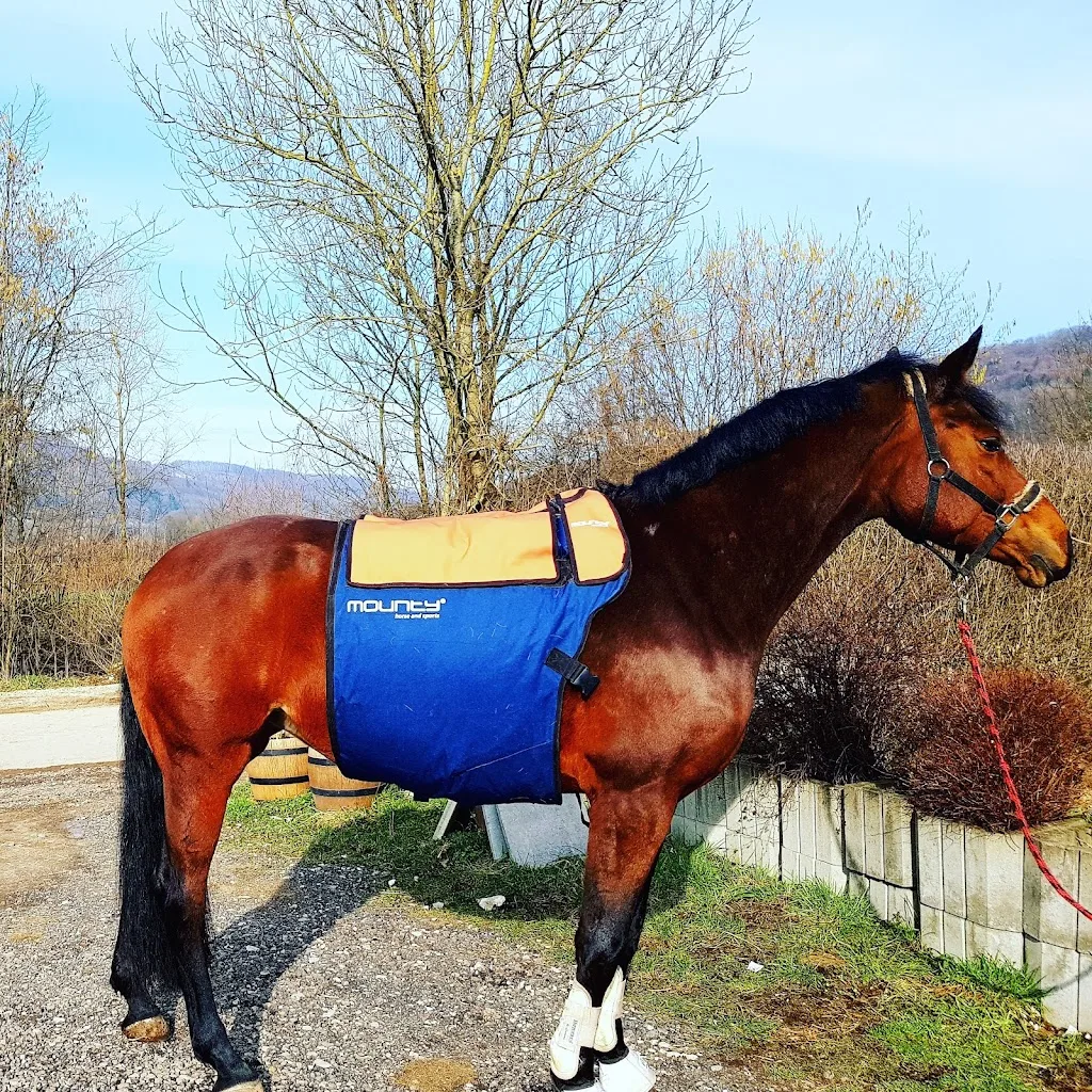 Reitanlage Stackendorf - Foto 2