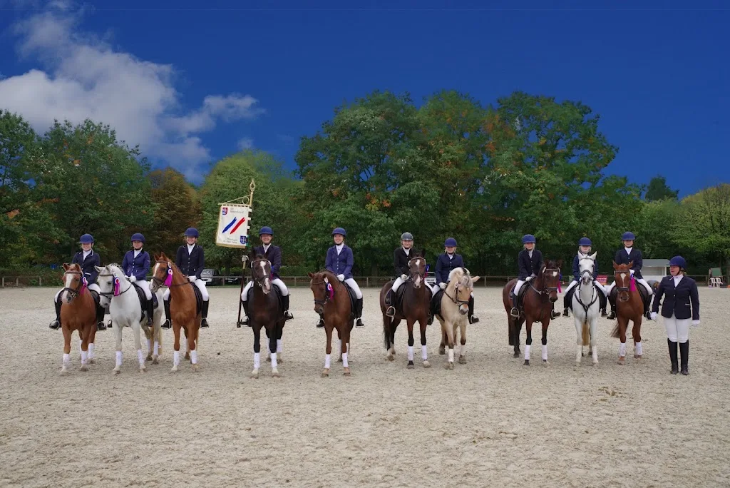 Reitanlage Reiterhof Fissau - Foto 2