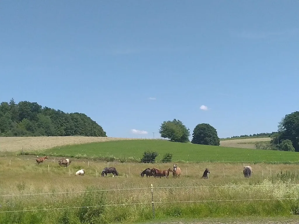 MysteryCreek Farm&Stables - photo 2