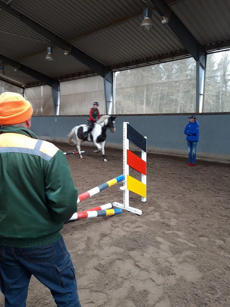Rödl Sportpferde GmbH - Foto 3