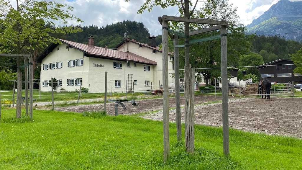Reiterhof Phönix - Foto 2