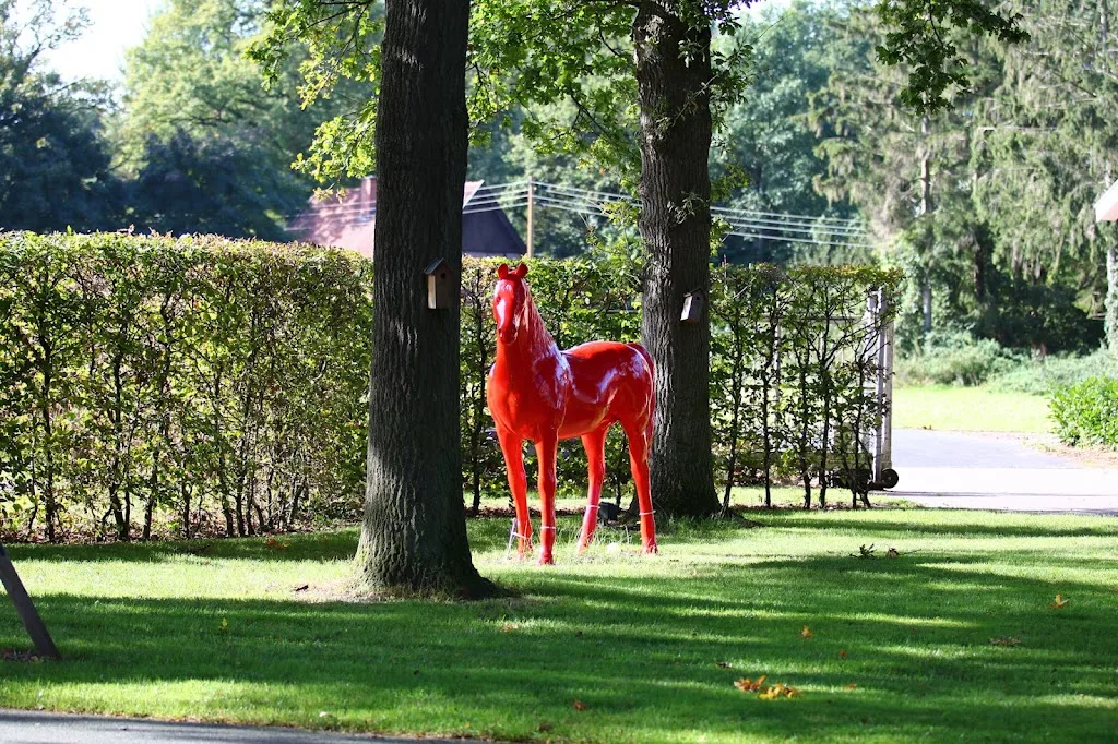 Pferd und Reiter Therapie UG - photo 2