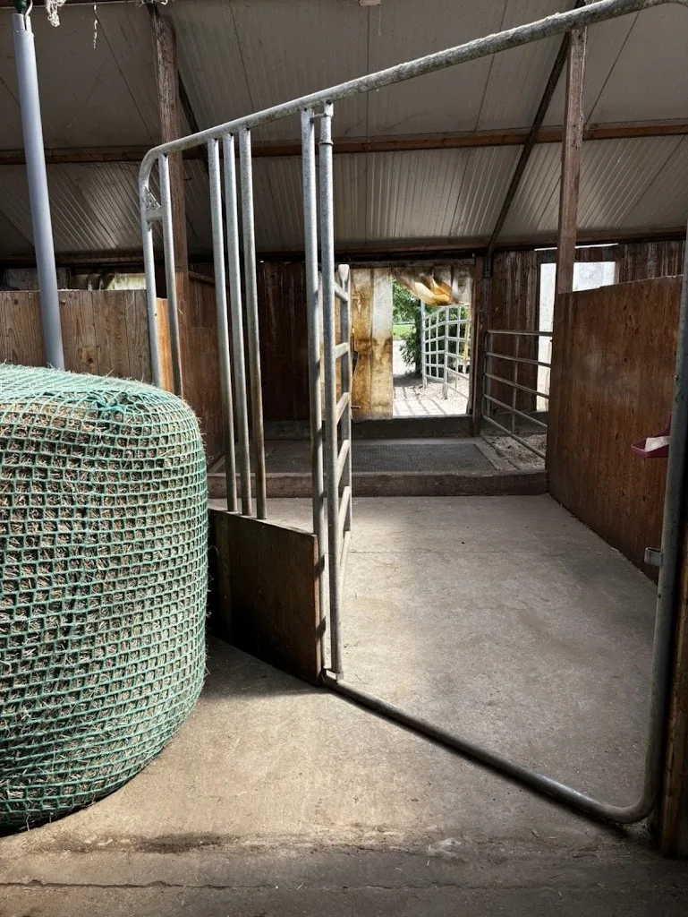 Golden Dust Ranch - photo 2