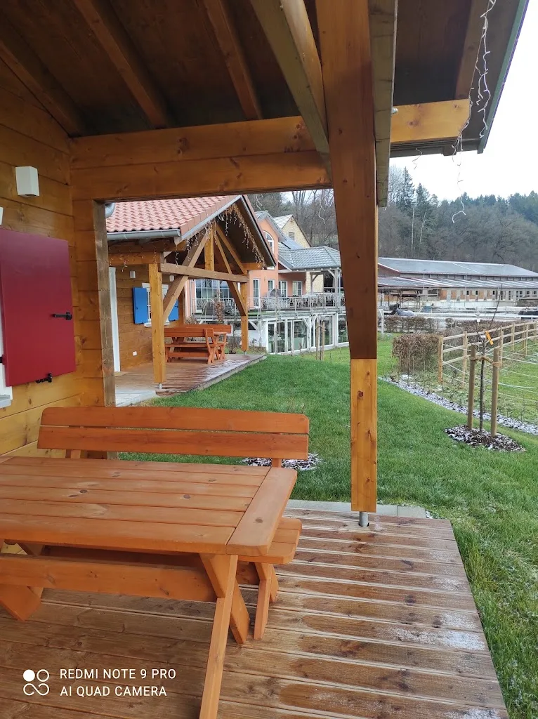 Reitanlage Jettweiler - Linda Moll - photo 1