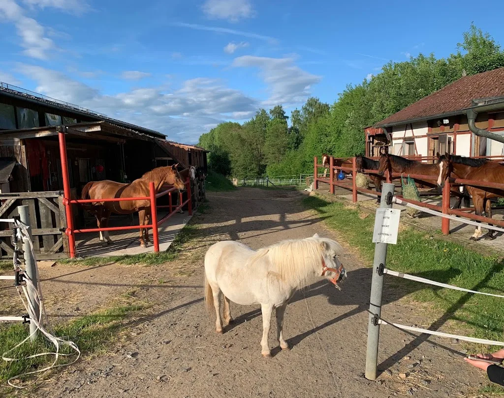 Reit- und Freizeitanlage Wiesau - Foto 3