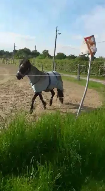 Round up Ranch - Foto 2