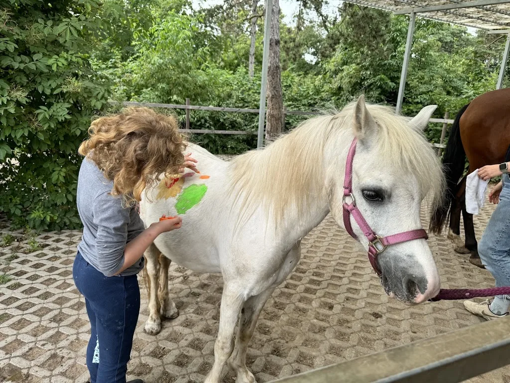 FranzisPferdeStärken Reitschule & Reittherapie - Foto 2