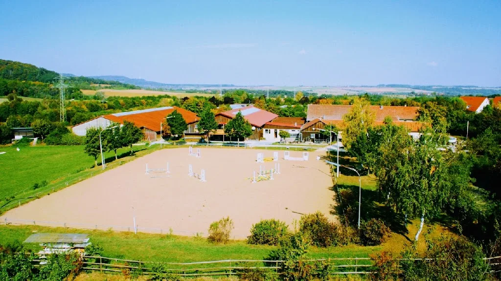 PSK Schwäbisch Hall - photo 3