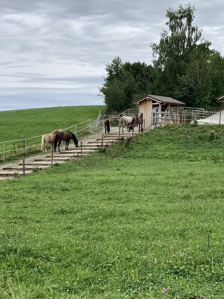 Aktivstall Dirnberg - Foto 2
