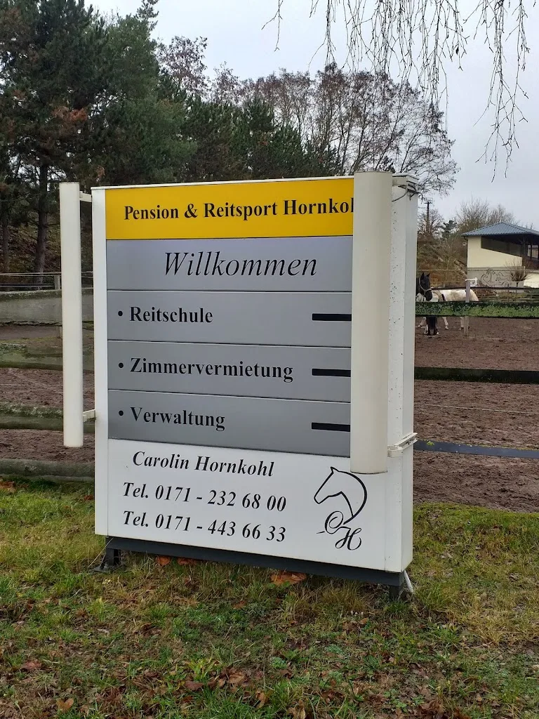 Pensions- und Ausbildungsstall Carolin Hornkohl - photo 2