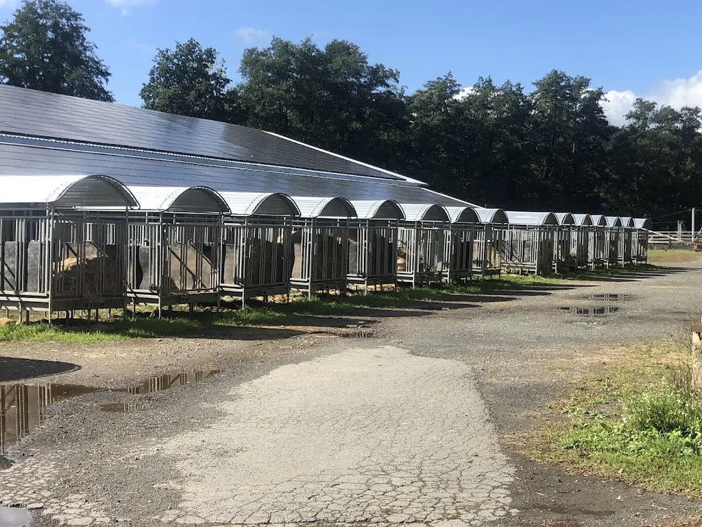 Reitanlage Löhnberger Hütte - Foto 1