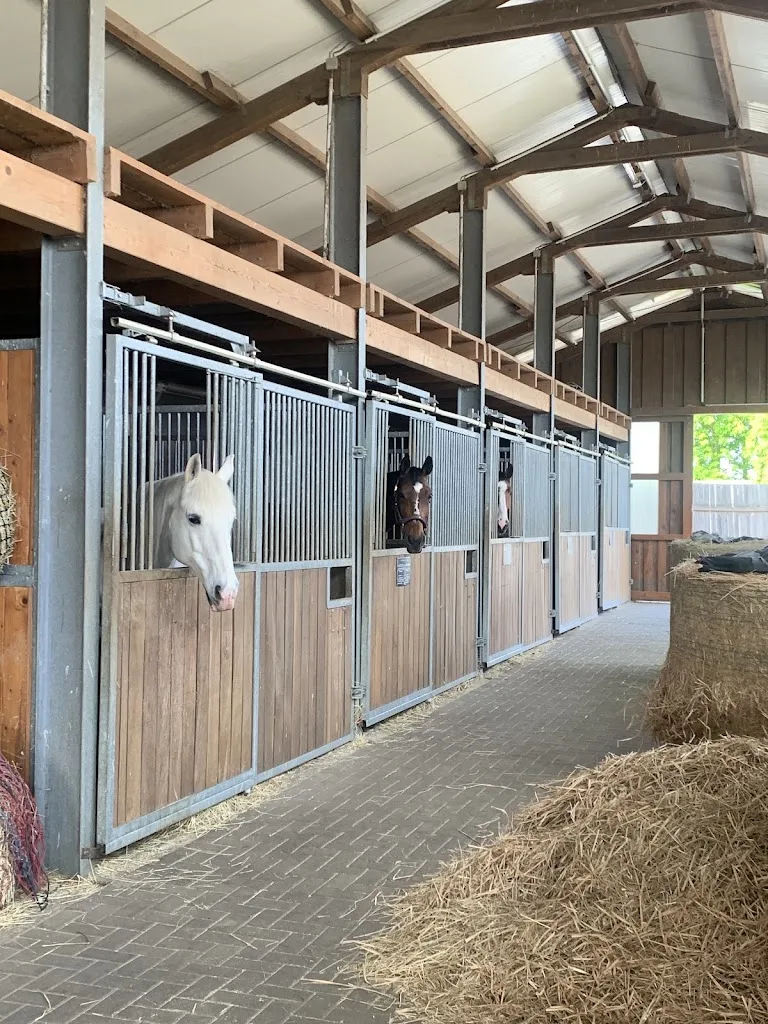 Pferdesport der Landerlebniswelt Bad Dürrenberg gGmbH - photo 1