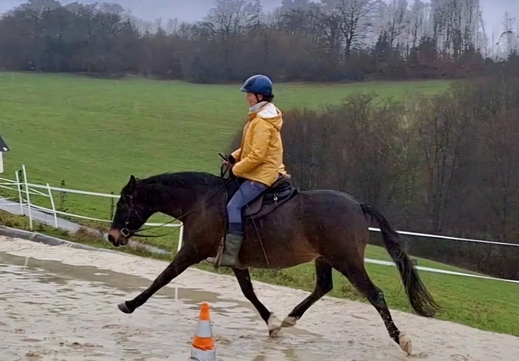 Reitunterricht bei Roßmann Horselife - Foto 2