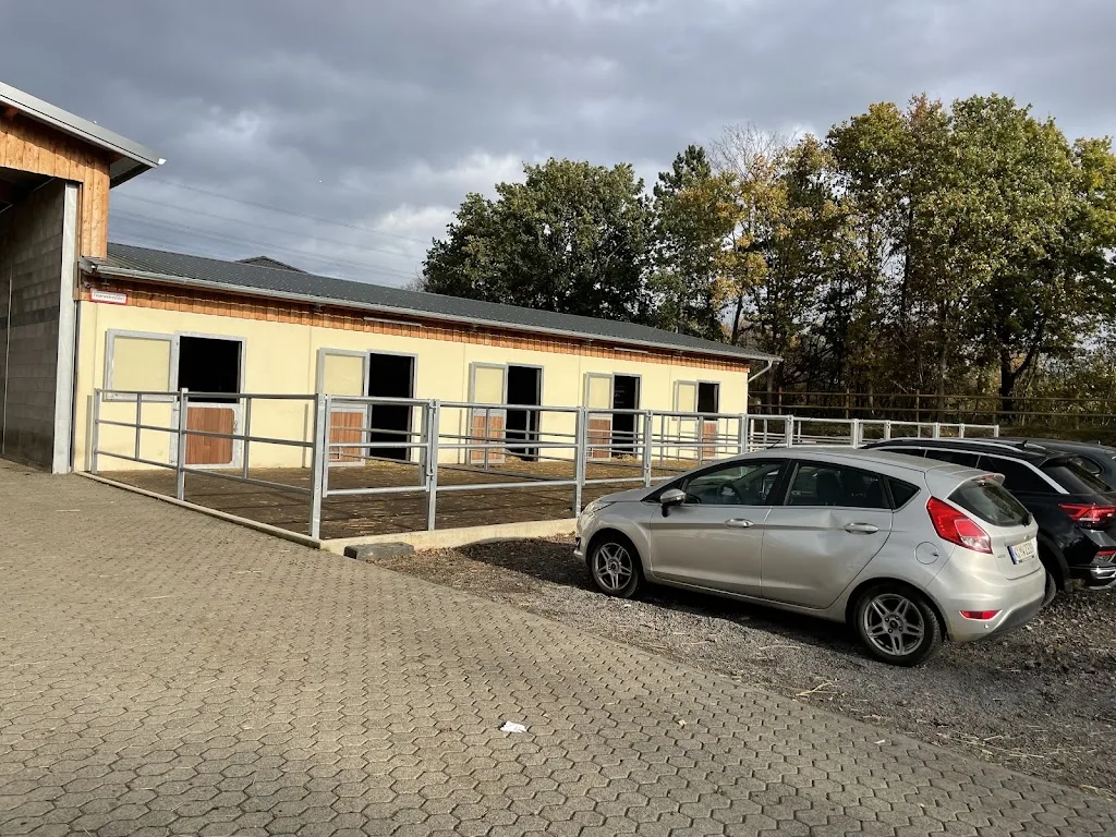 Kölner Pferde-Akademie - photo 2