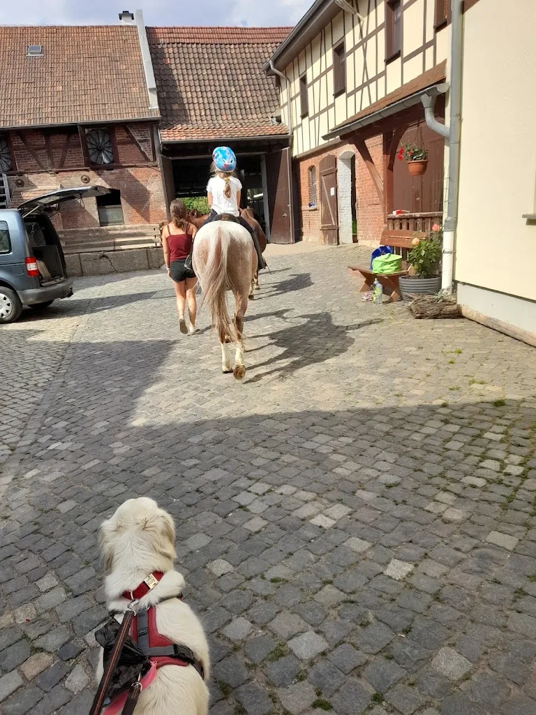 Reitschule & Pensionsbetrieb Hannes Reif - photo 2