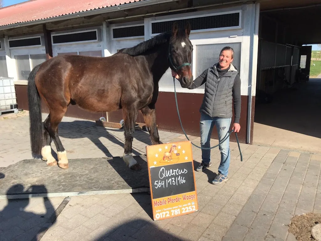 Reitanlage Baumann - photo 3