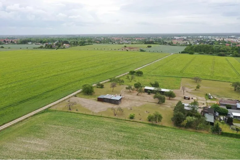 Reitanlage - Foto 1