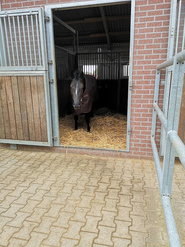 Reitanlage Tönisberg - Foto 2