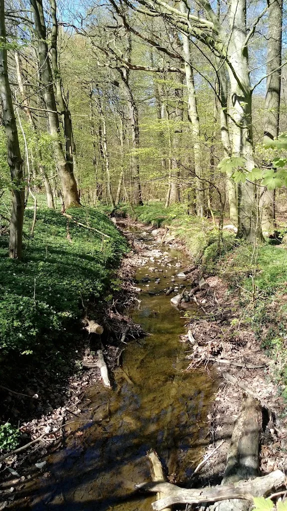 ROIJALE - Foto 1