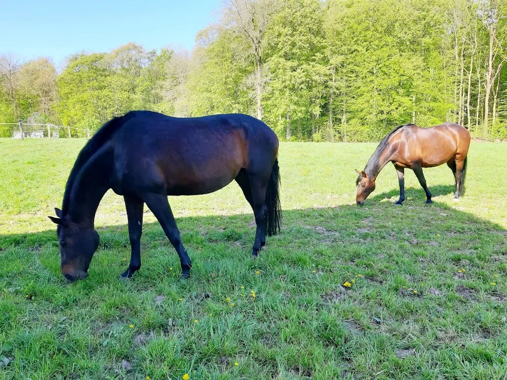 Ferienhof Bahr - Foto 2