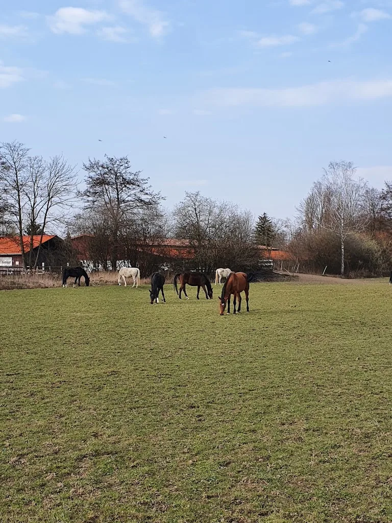 Reithof Blattmann - Foto 1