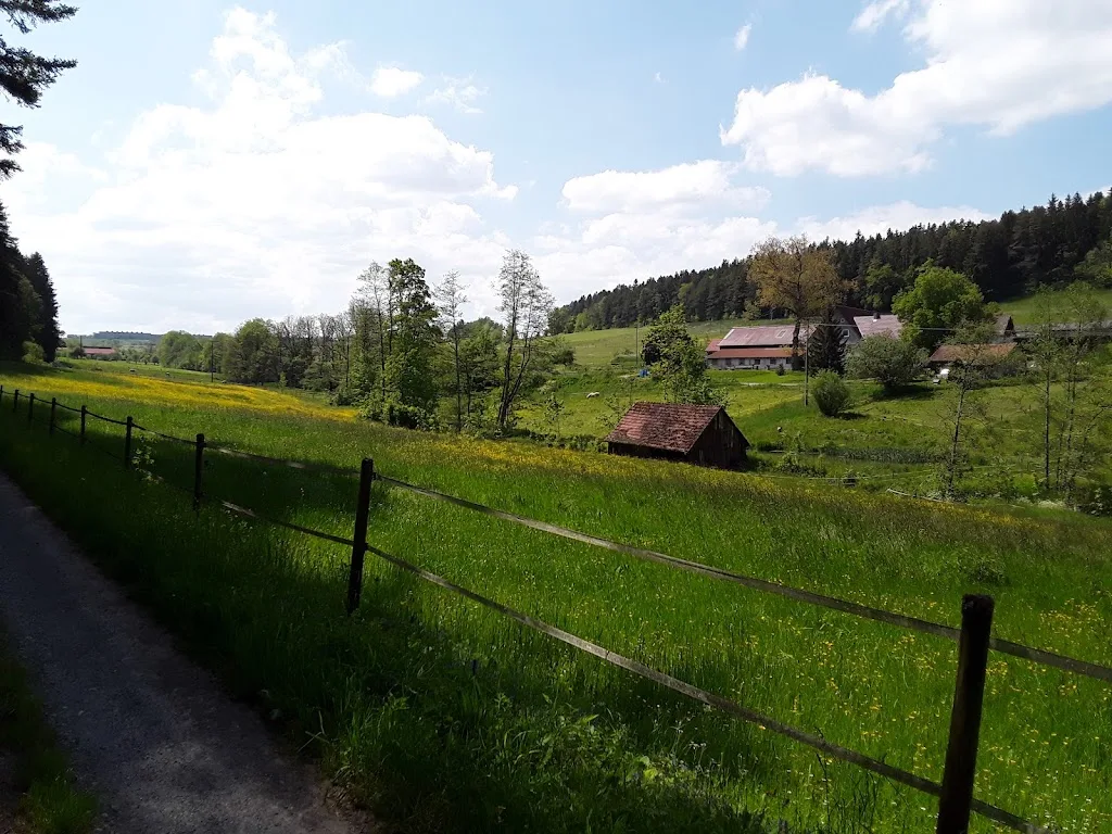 Reitausbildung - Foto 1