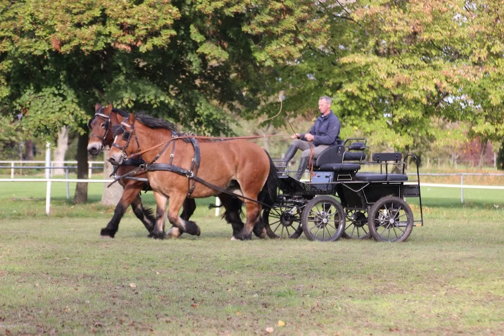 Pferdehof Schwittersdorf - photo 2