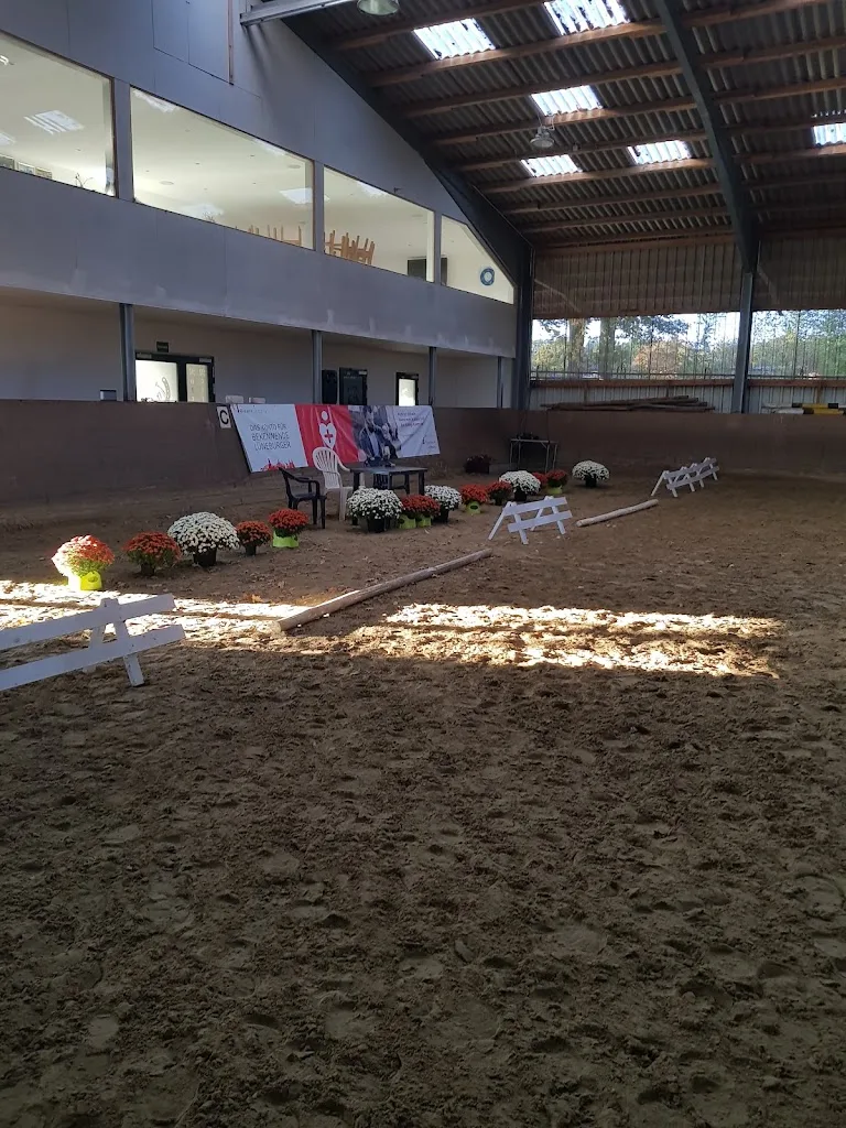 Reitverein Reiterhof Rüter e. V. - photo 1