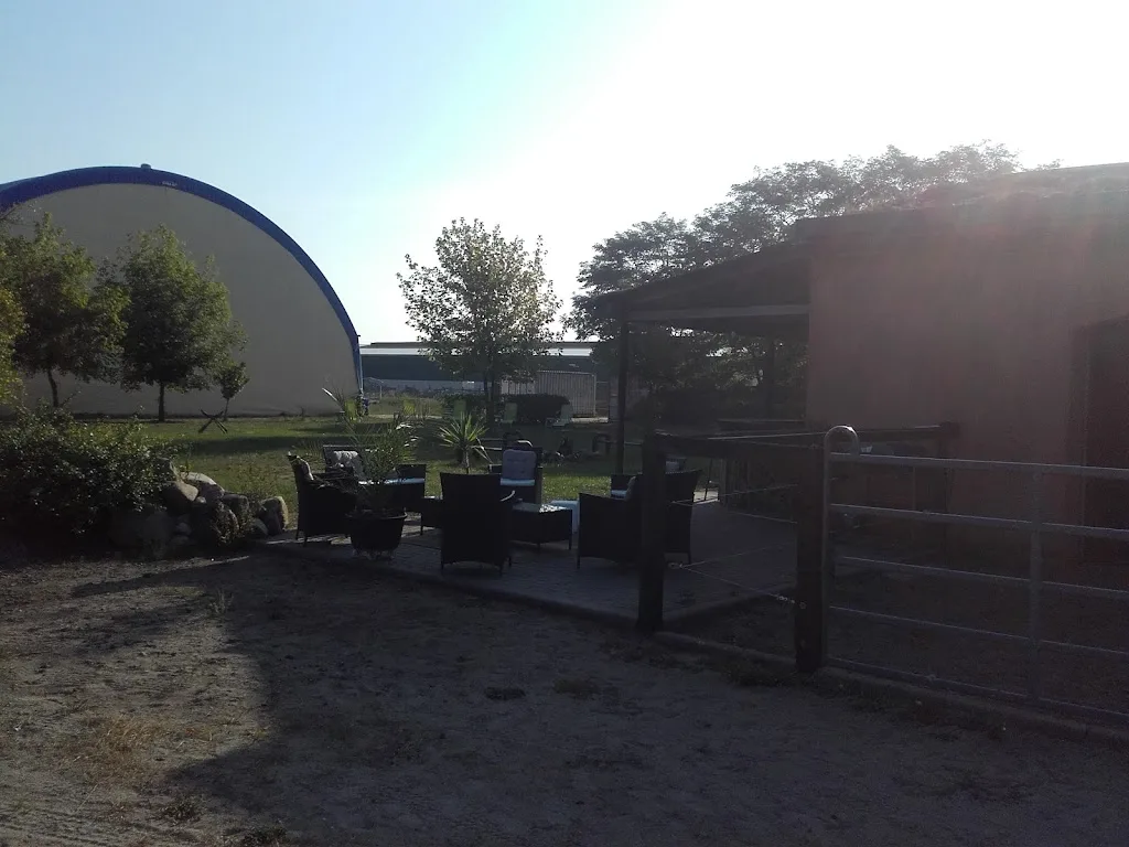 Klaudia Duif • Equibalance® - Foto 1