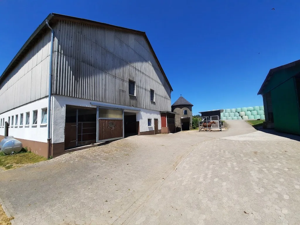 Reitbetrieb Sondermann - Foto 2