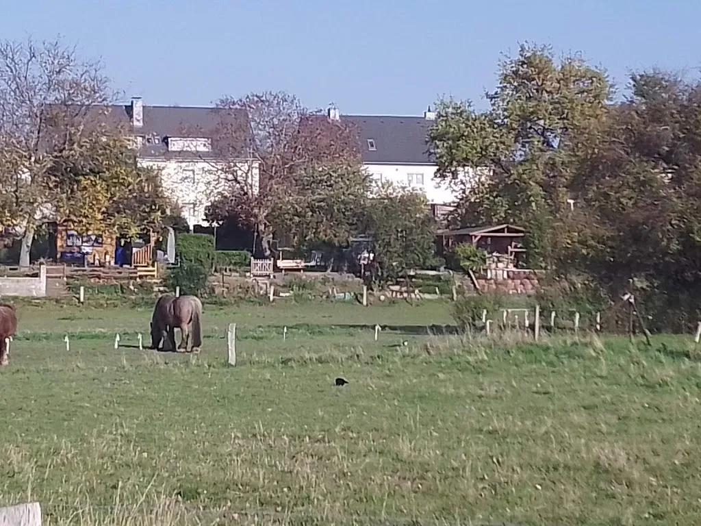 Brandshof - photo 1