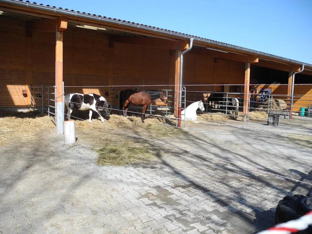 Eldorado Ranch Genkingen - Foto 3