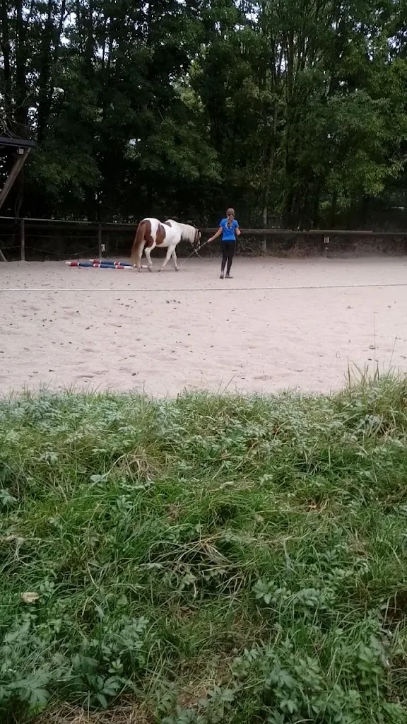 Looshof - Foto 1