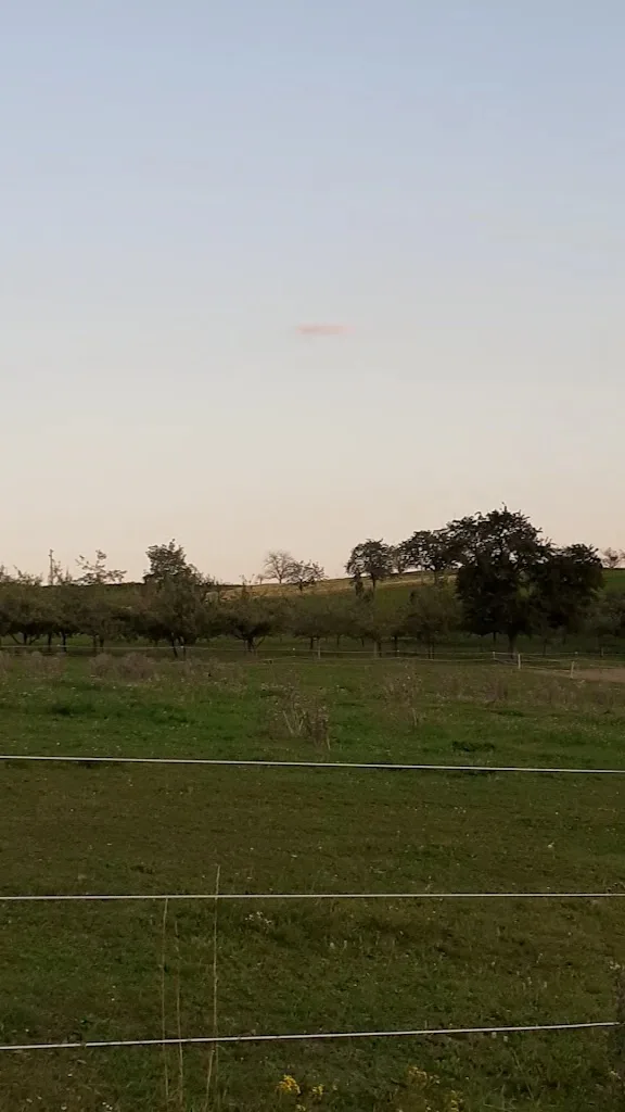 Pferdehof Sonnenhalde - photo 1
