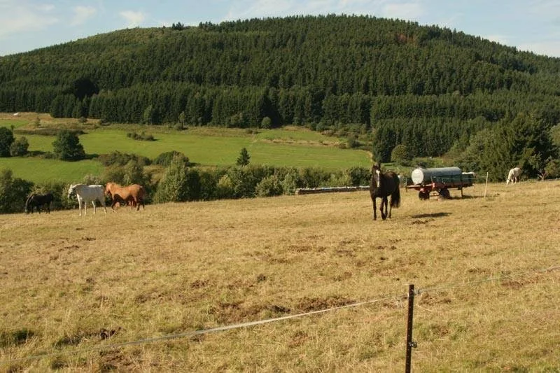 Meggi’s Farm - Peter Pfister & Schade GbR - Foto 3