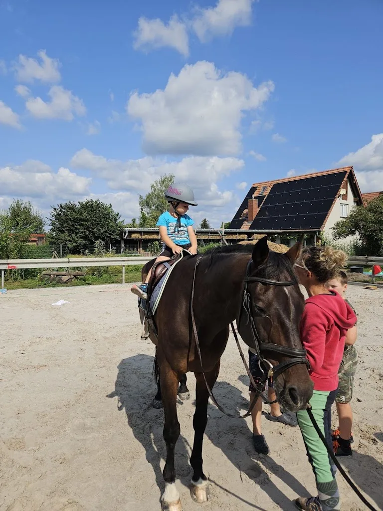 Zentrum für Mensch und Pferd - photo 3