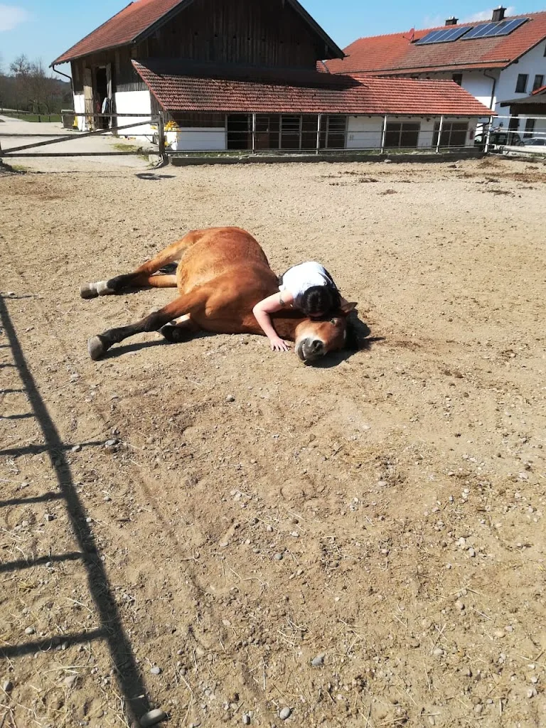 Blumberg Ranch - Foto 1