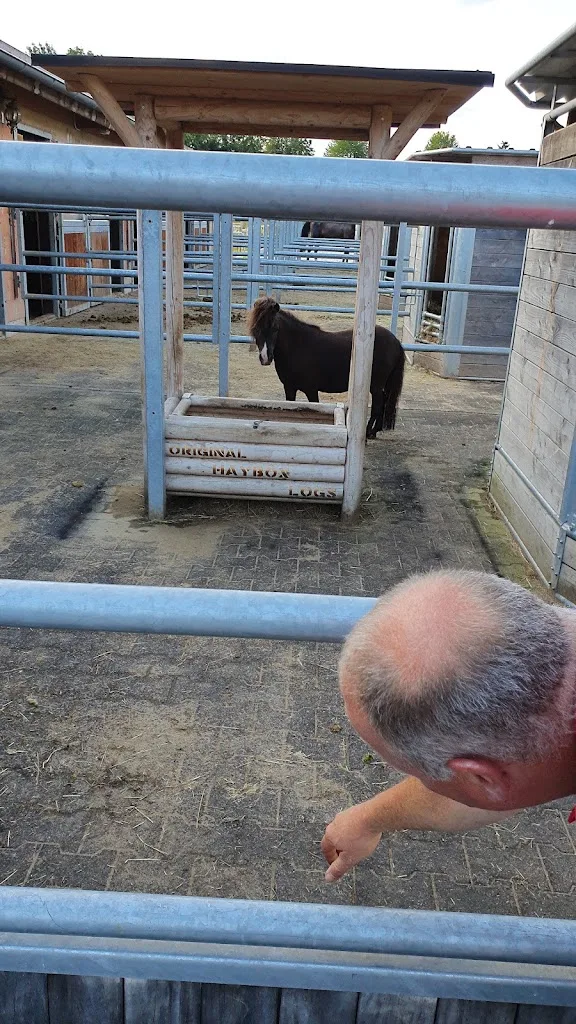 Reitanlage Bruck - Foto 1