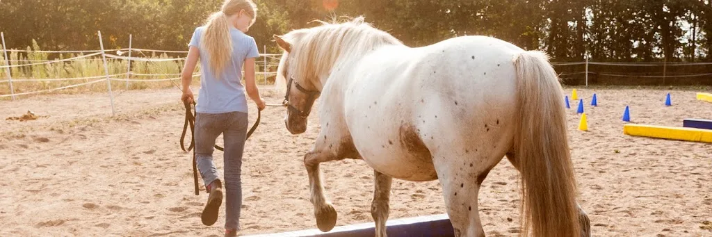 Der Bieberhoff - Reittherapie und pferdegestützte Erlebnis- und Traumapädagogik - Foto 1