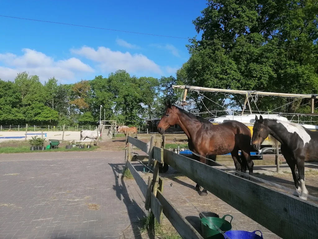 Der Bieberhoff - Reittherapie und pferdegestützte Erlebnis- und Traumapädagogik - Foto 2