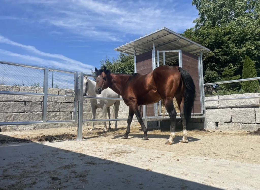 Poco-Lee Ranch - photo 1