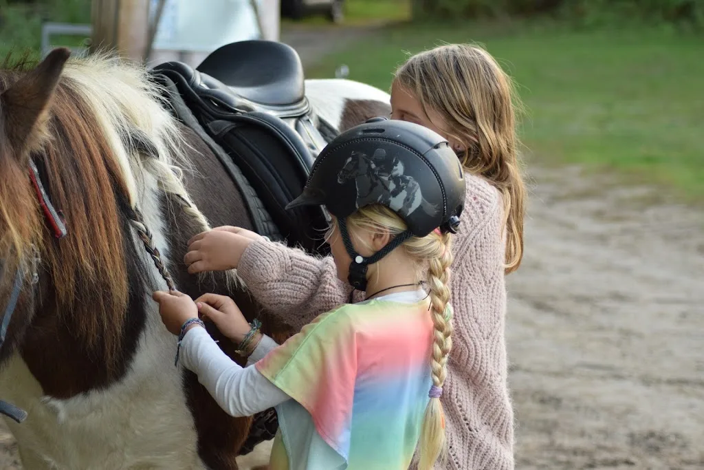 Reitschule Liebe - Foto 2