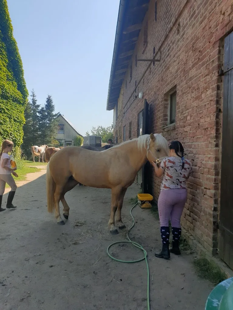 Reitschule Liebe - Foto 3