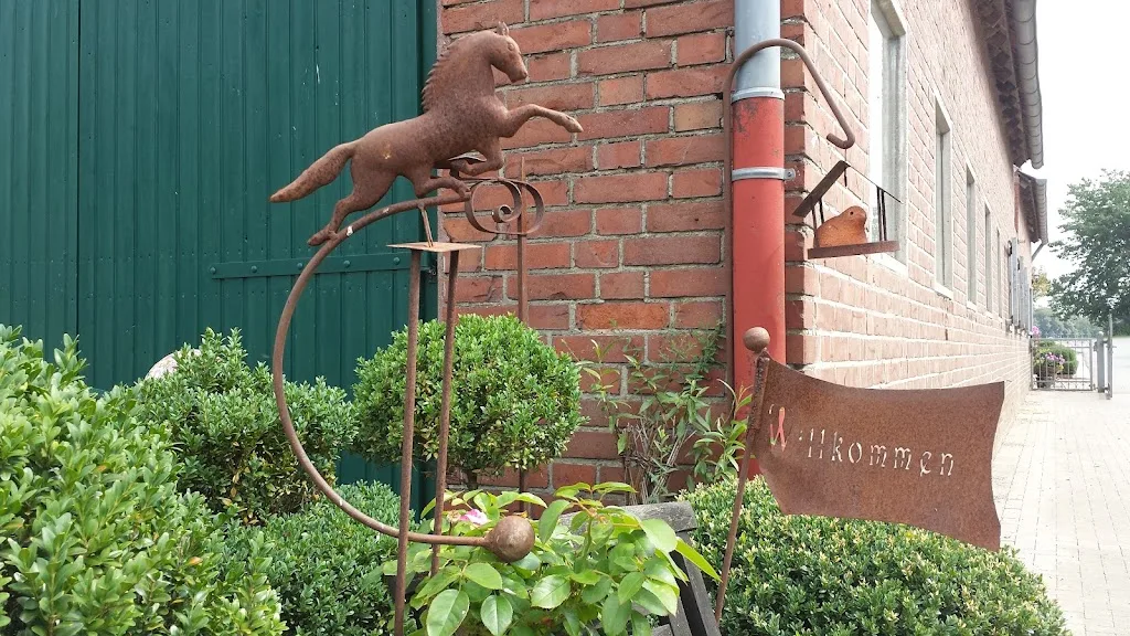 Pferdeaufzucht Niederrhein - photo 2