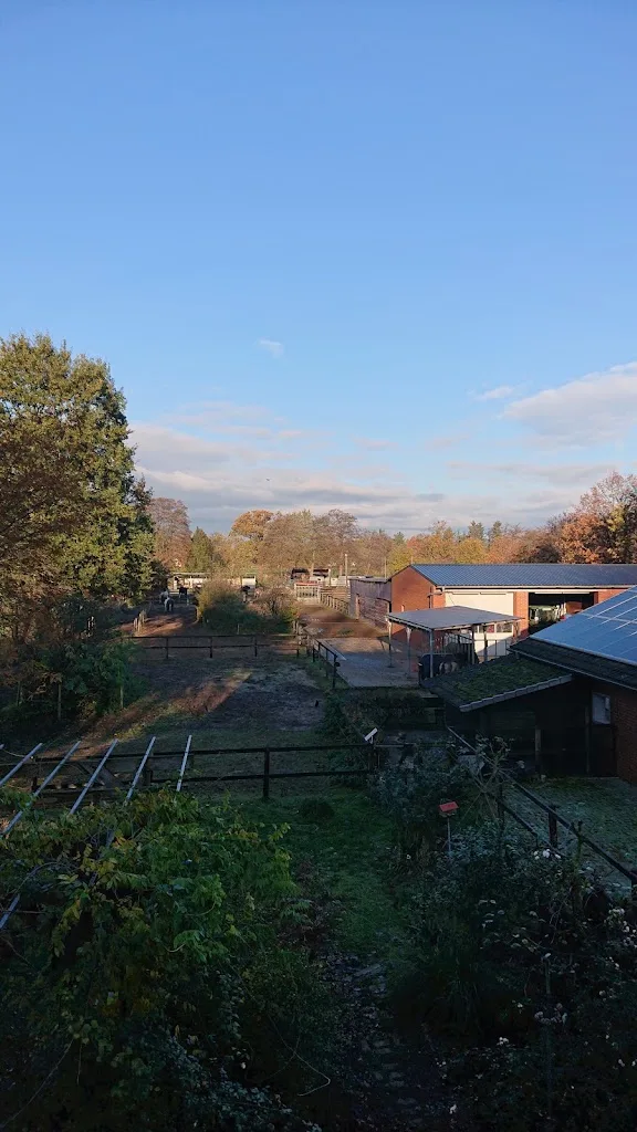 Reimanns Hof - Hohnhorst Connemaras - Foto 1