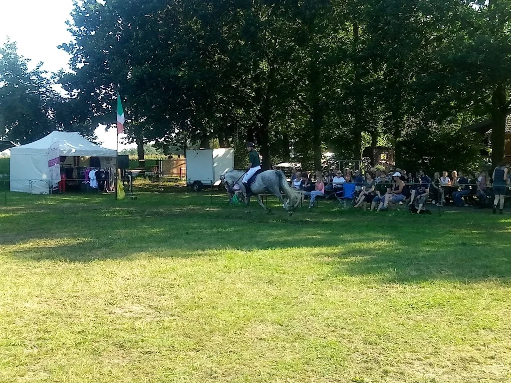 Reimanns Hof - Hohnhorst Connemaras - Foto 2