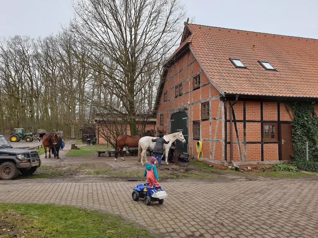 Hof Immenknick - photo 2